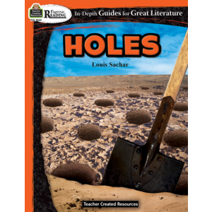 TCR8260 Rigorous Reading: Holes Image