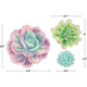 Rustic Bloom Succulent Accents - Assorted Sizes Alternate Image SIZE