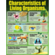 Living Organisms Poster Set Alternate Image C