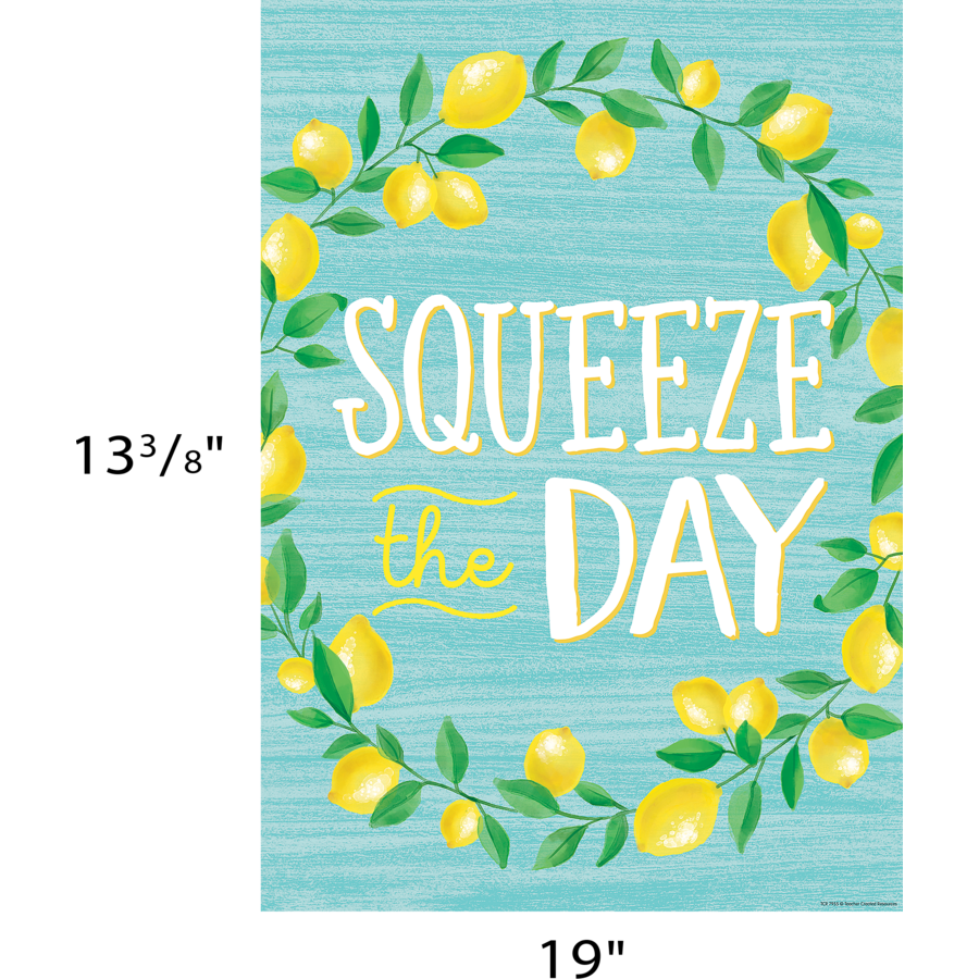 Squeeze the Day Positive Poster TCR7955 Teacher Created Resources