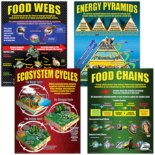 Ecosystems Poster Set