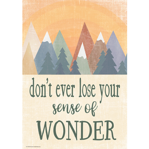 TCR7458 Don’t Ever Lose Your Sense of Wonder Positive Poster Image