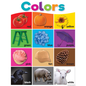 TCR7991 Colorful Colors Chart Image