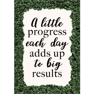 TCR7994 A Little Progress Each Day Adds Up to Big Results Positive Poster Image