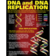 DNA & Heredity Poster Set Alternate Image B