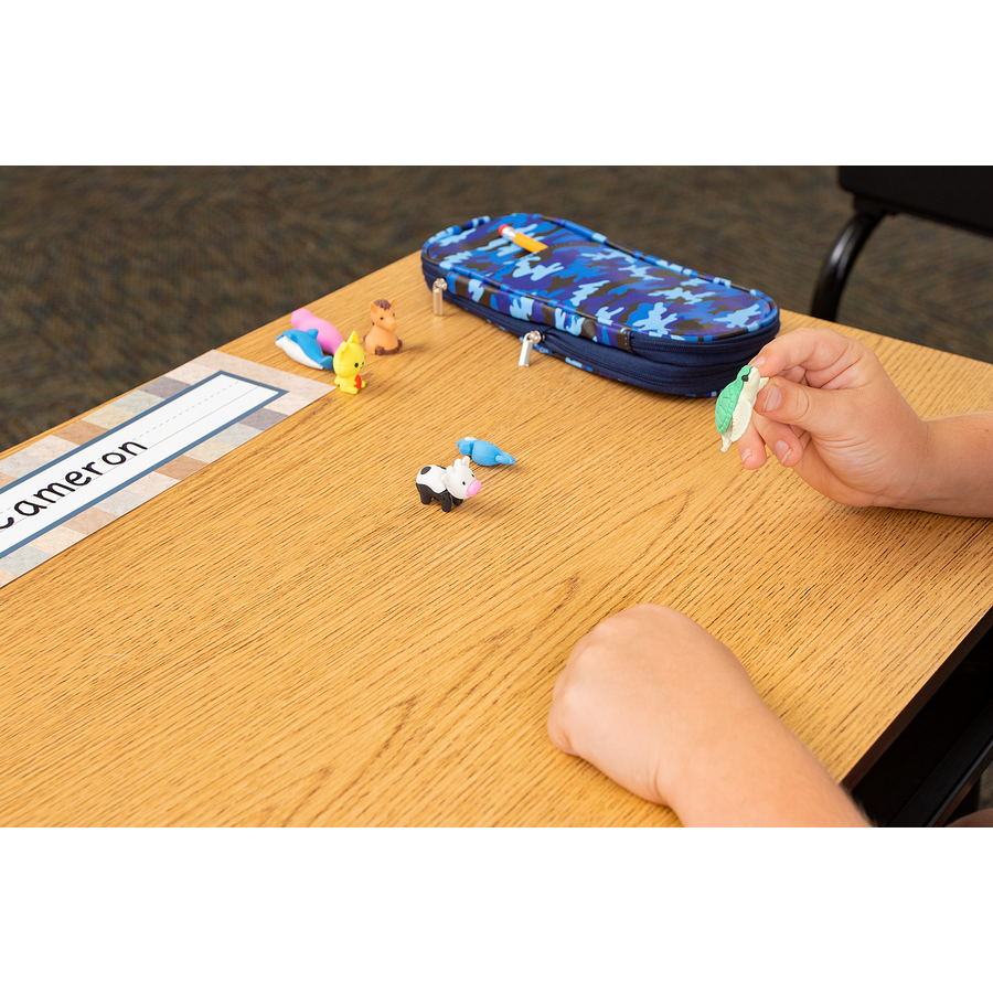 Desk Pets Animal Friends (40 pack) TCR20000 Teacher Created Resources