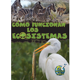 Como funcionan los ecosistemas