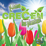 Como crecen las plantas?