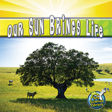 Our Sun Brings Life