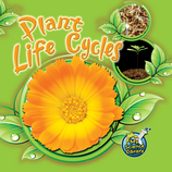 Plant Life Cycles