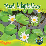 Plant Adaptations