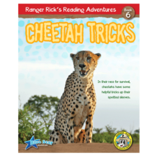 Ranger Rick's Reading Adventures: Cheetah Tricks 6-Pack