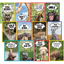 Go Wild Animals Small Poster Pack