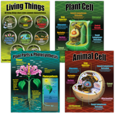 Life Science Poster Set