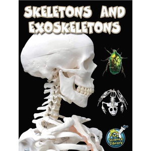 TCR102218 Skeletons and Exoskeletons Image