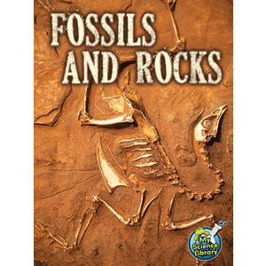 TCR102362 Fossils and Rocks Image