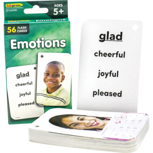 TCR62056 Emotions Flash Cards Image