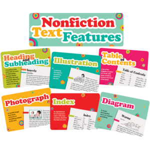 TCR62381 Nonfiction Text Features Bulletin Board Display Set Image