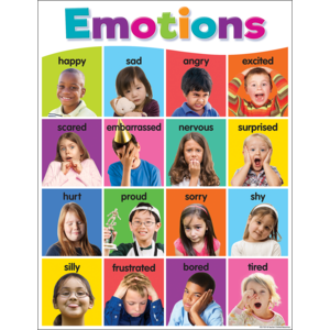 TCR7107 Colorful Emotions Chart Image