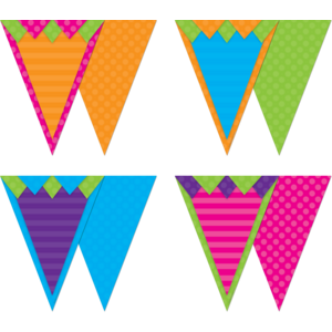 TCR74776 Sassy Solids Pennants Image