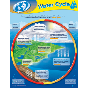 TCR7743 Water Cycle Chart Image