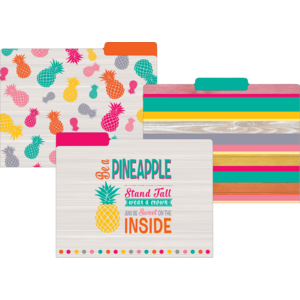 TCR8538 Tropical Punch File Folders Image