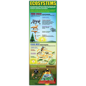 TCRV1701 Ecosystems Colossal Poster Image