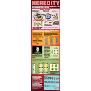TCRV1708 Heredity Colossal Poster Image