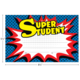 Superhero Super Student Awards Alternate Image SIZE