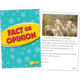 Fact or Opinion Practice Cards Yellow Level Alternate Image A