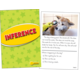Inference Practice Cards Yellow Level Alternate Image A