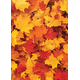 Fall Leaves Better Than Paper Bulletin Board Roll Alternate Image A
