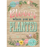 TCR7428 Bloom Where You Are Planted Positive Poster