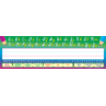 TCR4308 Cursive Writing Flat Name Plates