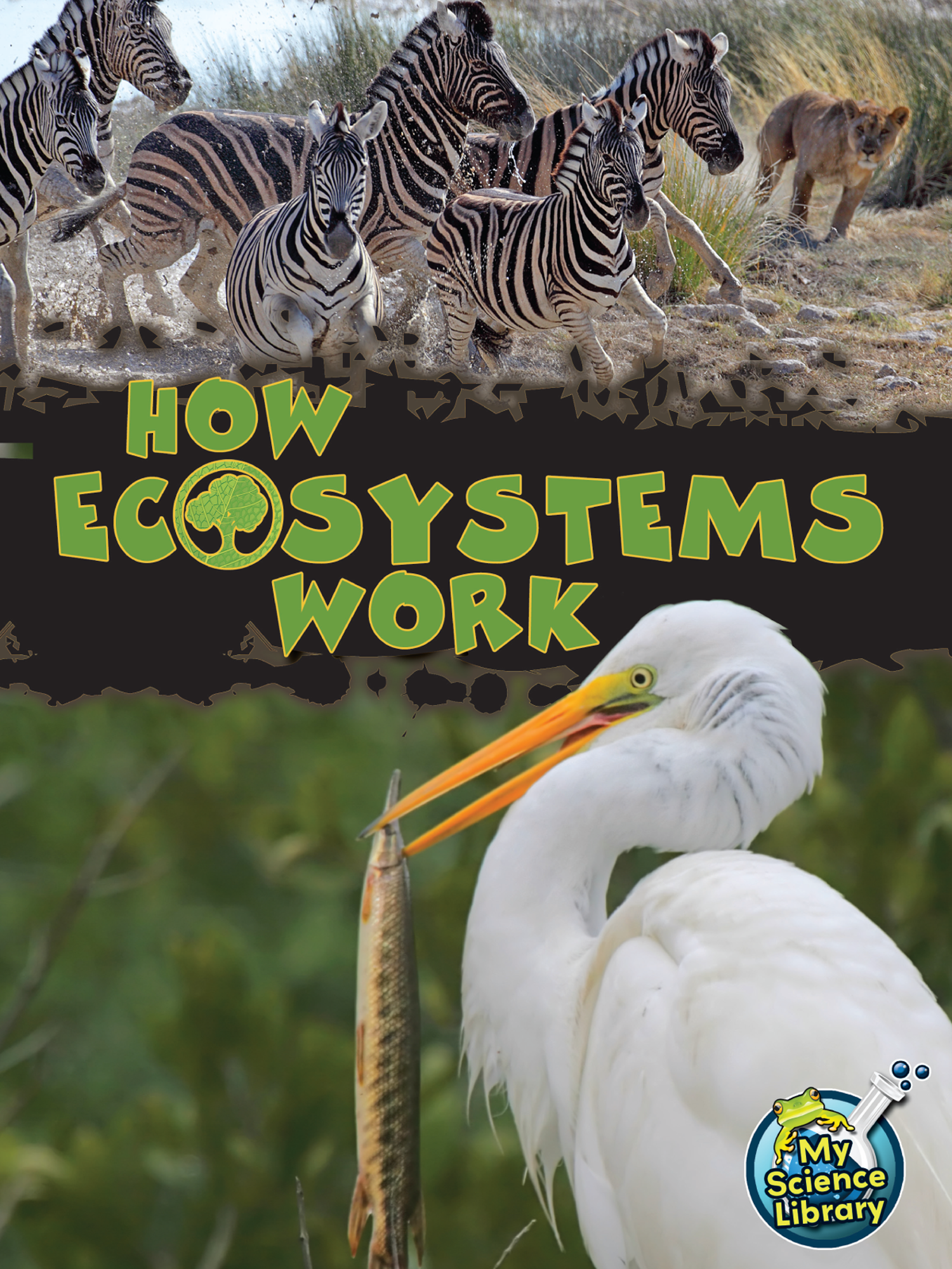 ecosystems resources