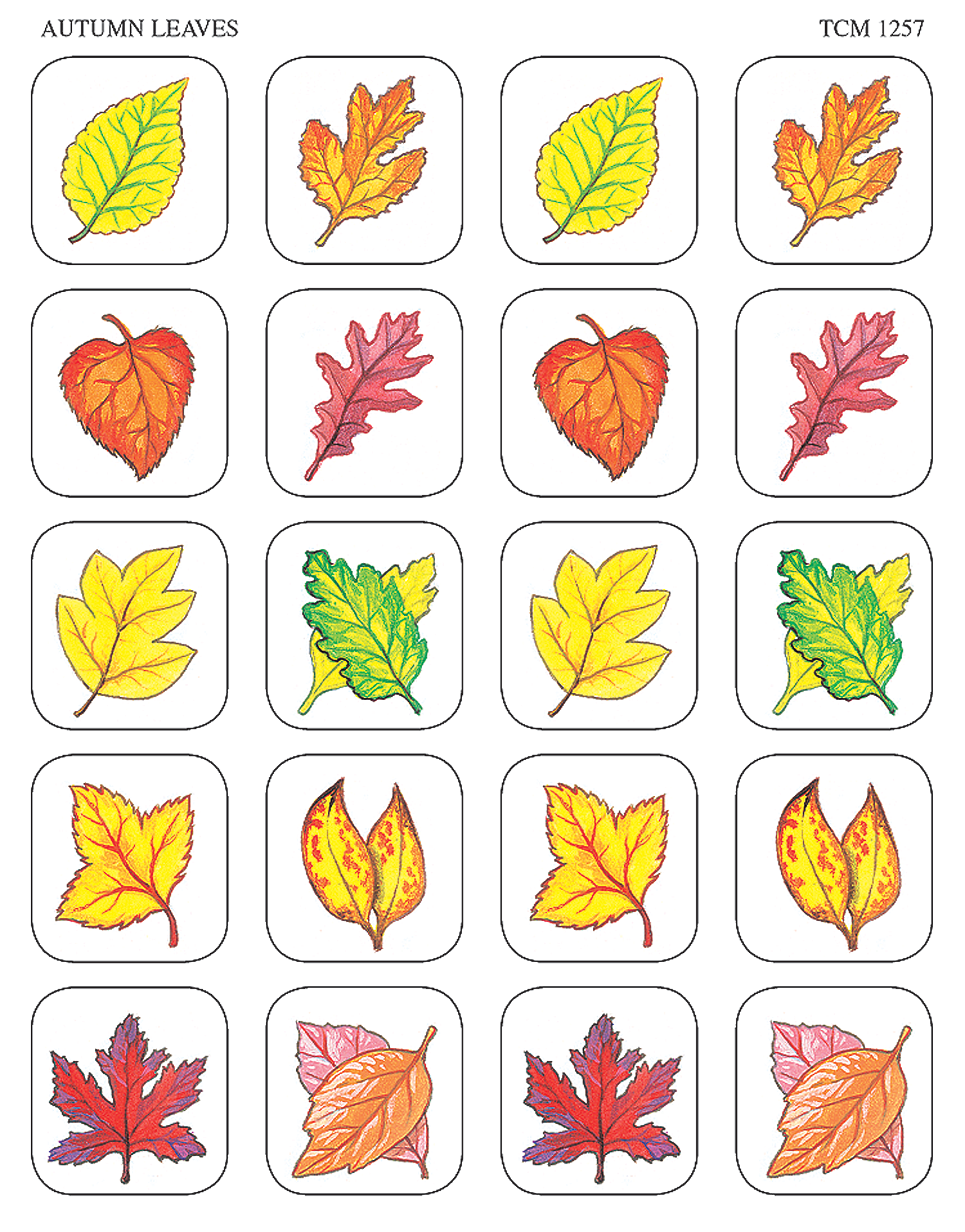 autumn-leaves-stickers-tcr1257-teacher-created-resources