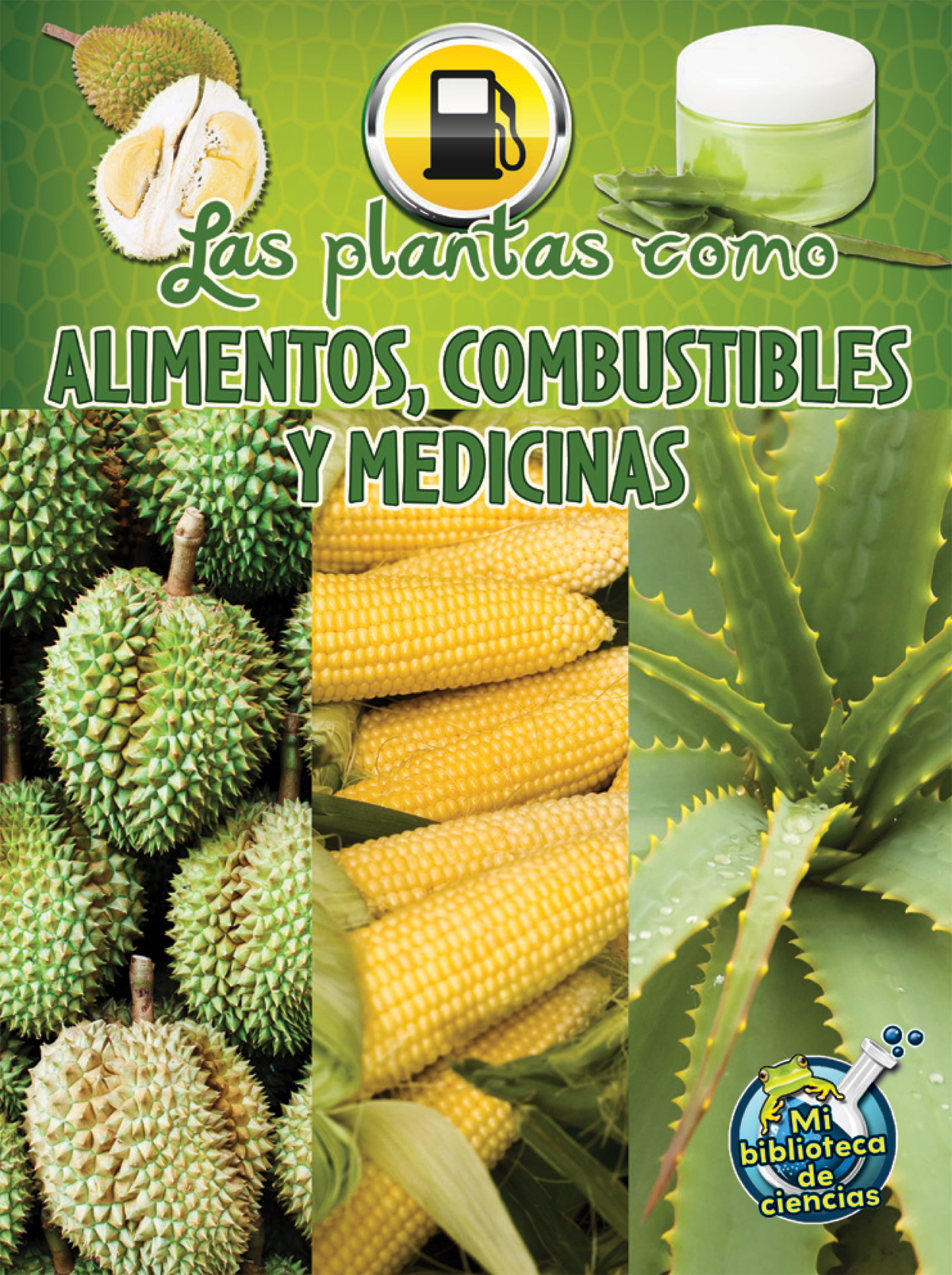 Las plantas como alimentos, combustibles y medicinas 