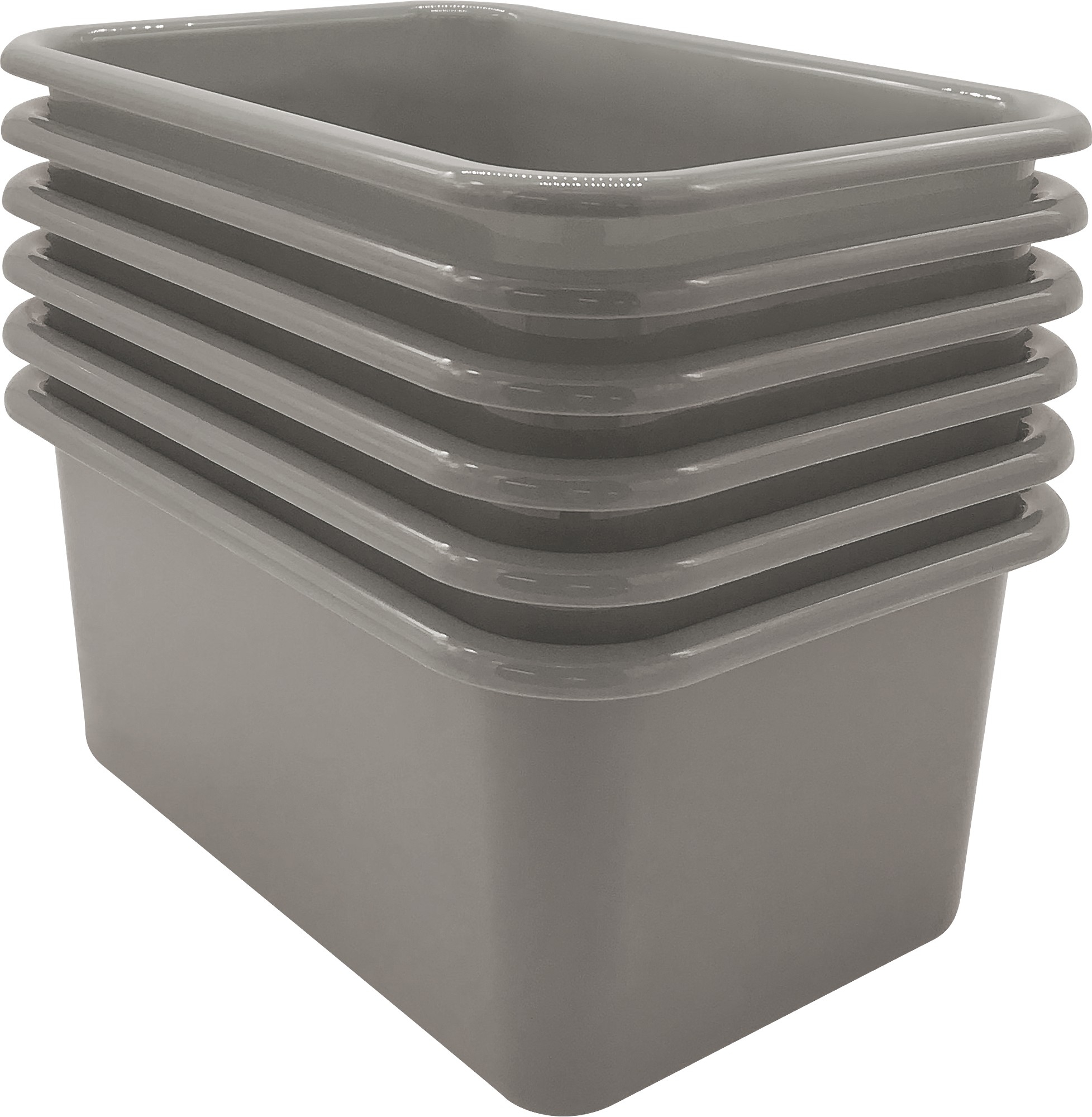 Gray Small Plastic Storage Bin - TCR20395