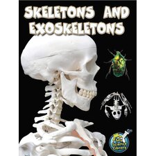 Skeletons and Exoskeletons