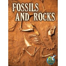 Fossils and Rocks