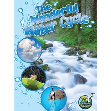 The Wonderful Water Cycle The Wonderful Water Cycle