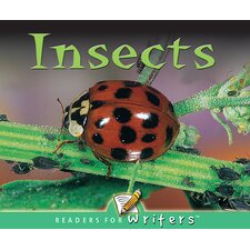 Insects Insects