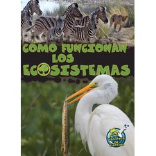 Como funcionan los ecosistemas