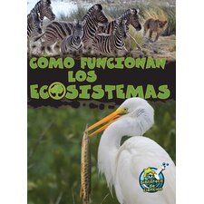 Como funcionan los ecosistemas Como funcionan los ecosistemas