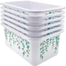 Eucalyptus Small Plastic Storage Bin 6 Pack