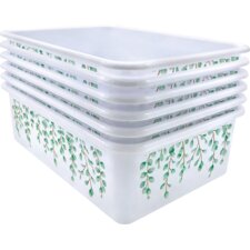 Eucalyptus Large Plastic Storage Bin 6 Pack