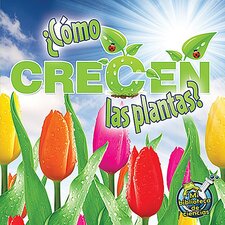 Como crecen las plantas? Como crecen las plantas?
