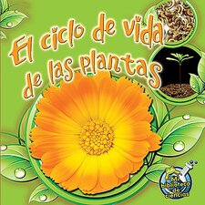 El ciclo de vida de las plantas