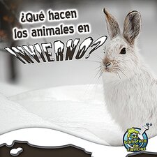Que hacen los animales en invierno? Que hacen los animales en invierno?