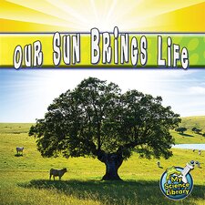 Our Sun Brings Life Our Sun Brings Life